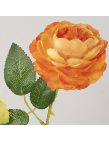 Rosa Naranja 66cm