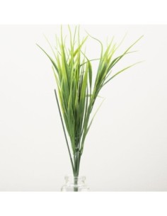 Pasto 39cm