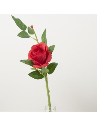 Rosa Roja 46cm