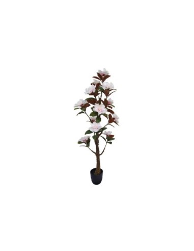Planta magnolia 150cm