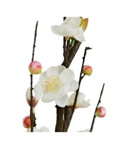 Cheery Blossom blanco 90cm