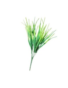Pasto 34cm