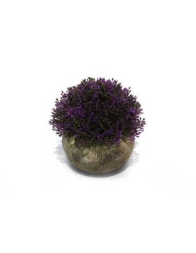 Mini arbusto purple maceta concretro 11x9x9cm