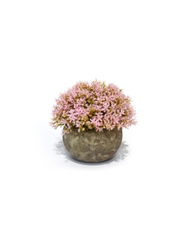 Mini arbusto rosada maceta concretro 11x9x9cm