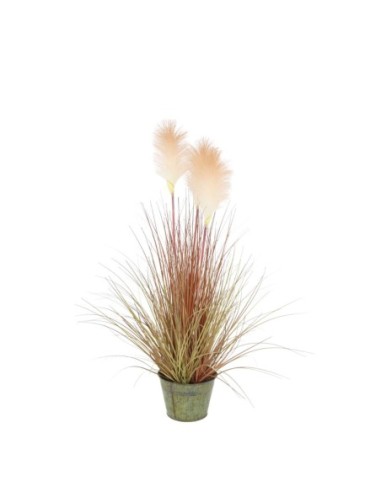 Grass con pluma blanca 70 cm