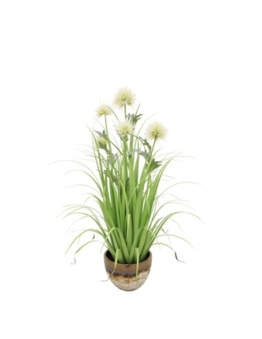 Grass flor de cardo 79 cm